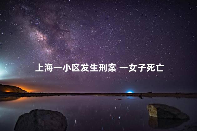 上海一小区发生刑案 一女子死亡